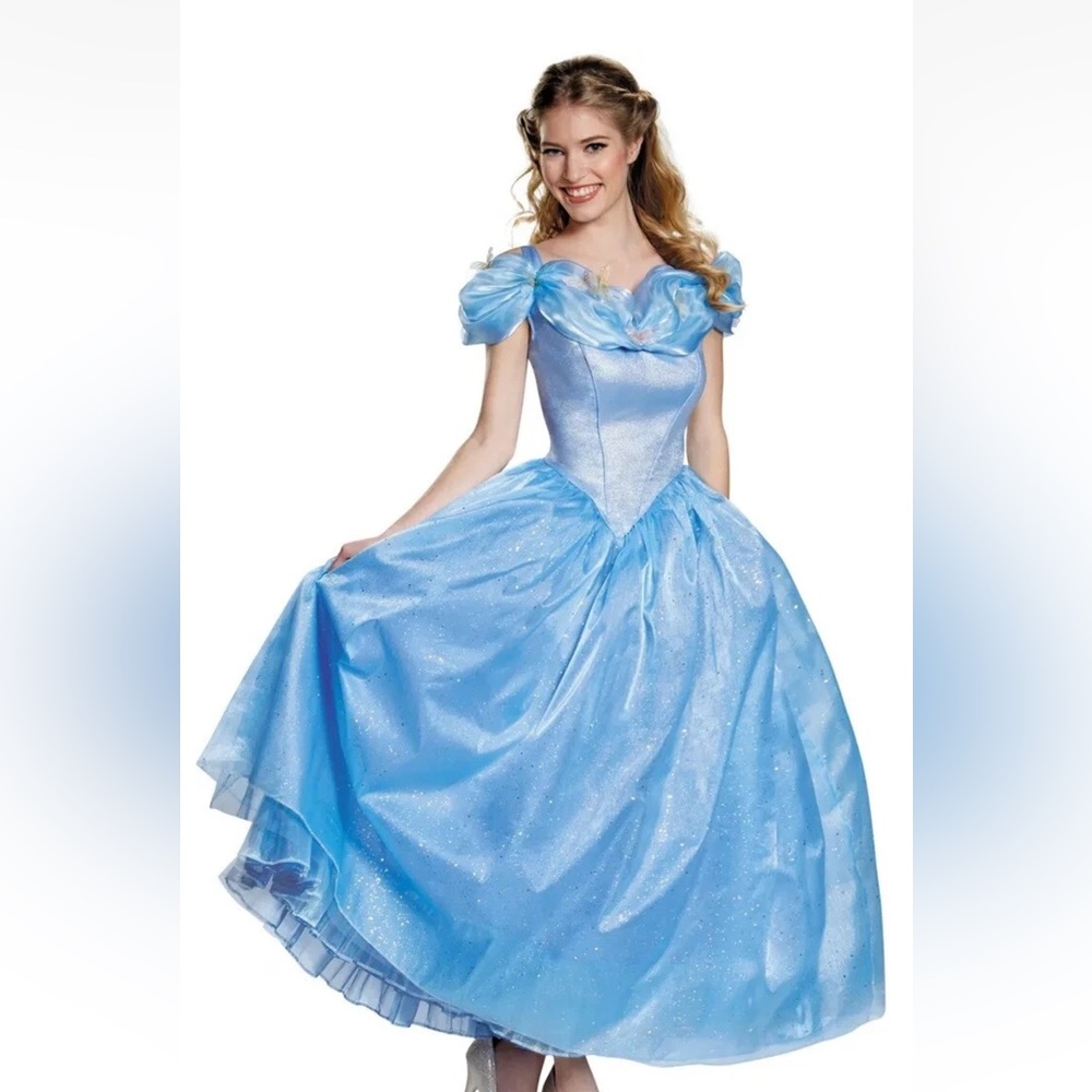 Adult Blue Princess Cinderella Costume